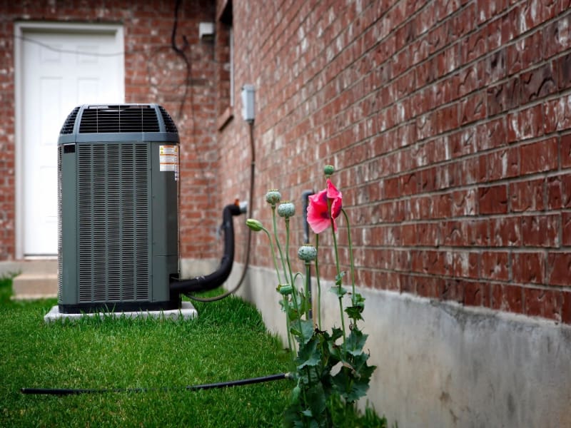 A red flower is in the grass next to an air conditioner.